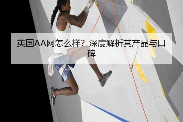 英国AA网怎么样？深度解析其产品与口碑（milan sports）