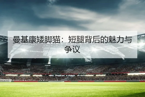 曼基康矮脚猫：短腿背后的魅力与争议